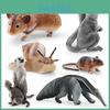 Childrens Pvc Hamster Snail Sugar Glider Animal Model Display For Education And Collection