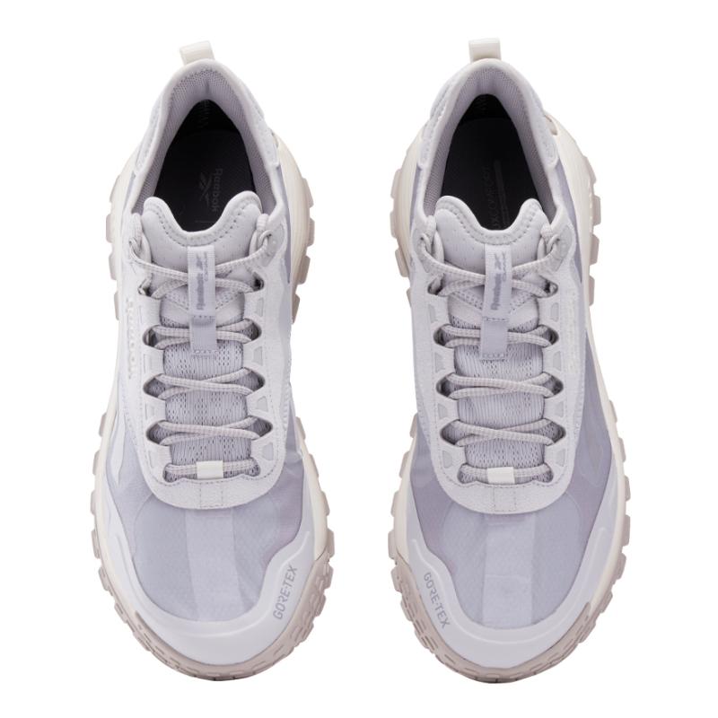 Reebok Dmx Trail GORE TEX 'Grey Stone Chalk' Sneakers 100200884