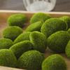 Fake Landscape Stone Lawn Greenery Artificial Moss Plants Decor Floor Adornments Garden Decoration