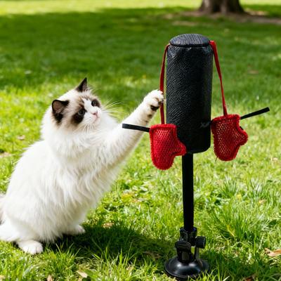 Giocattolo da Pugilato per Gatti Sacco da Pugilato Giocattolo per Gatti con Azione Oscillante a Molla Giocattolo da Pugilato Interattivo con Base a Ventosa per Esercizio Indoor dei Gattini