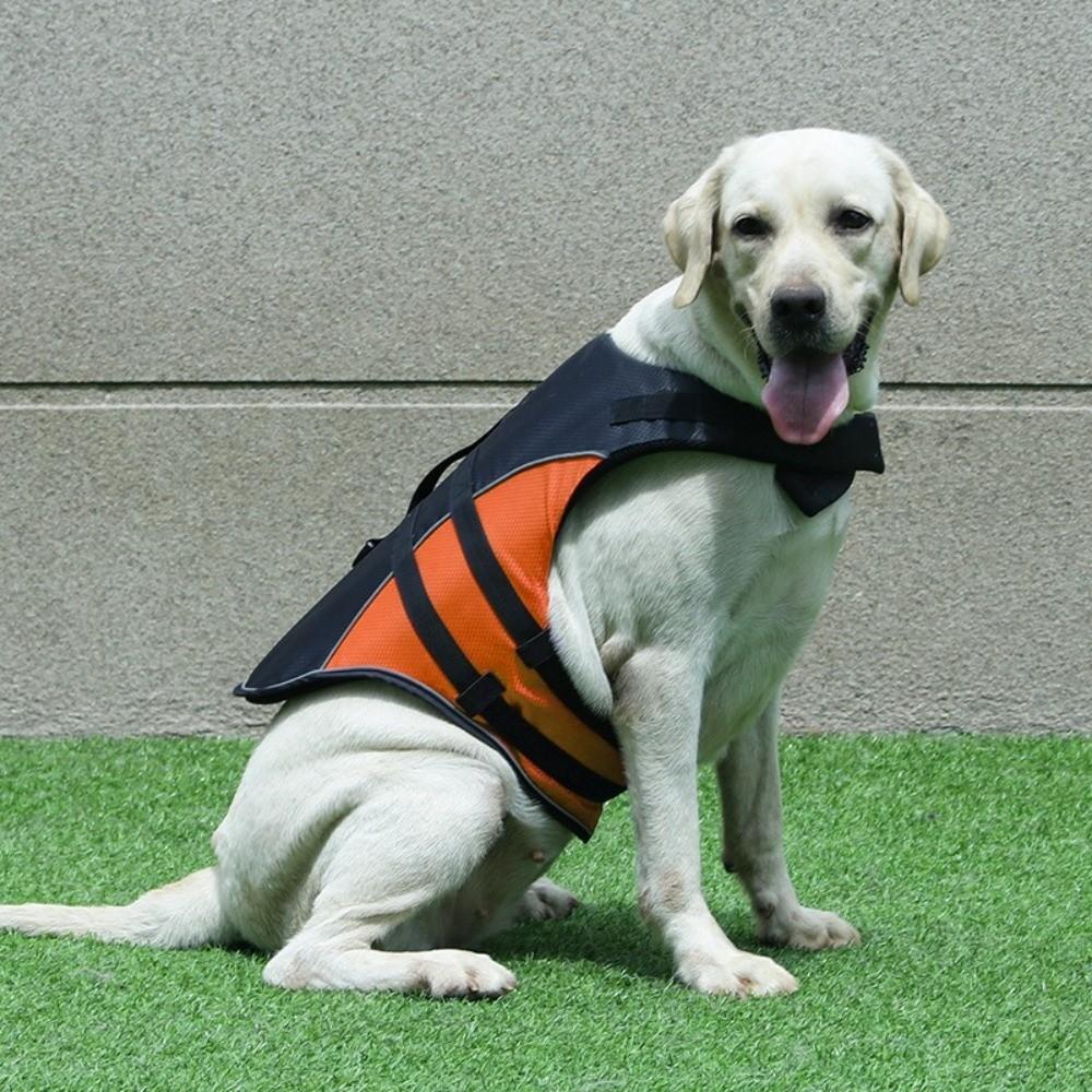 Adjustable Pet Safety Vest Enhanced Buoyancy Dog Swimming Suit Outdoor Activities