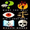 What the Hell Did I Just Read by David Wong Paperback Book 9781785651656