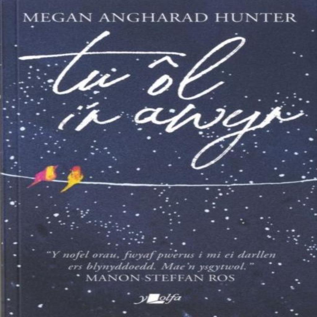 Tu Ol ir Awyr by Megan Angharad Hunter Paperback Book 9781784619299