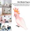 Simulated Bird Model Figure Children Static Bird Figurine Collection Educational Toy Birthday Gift