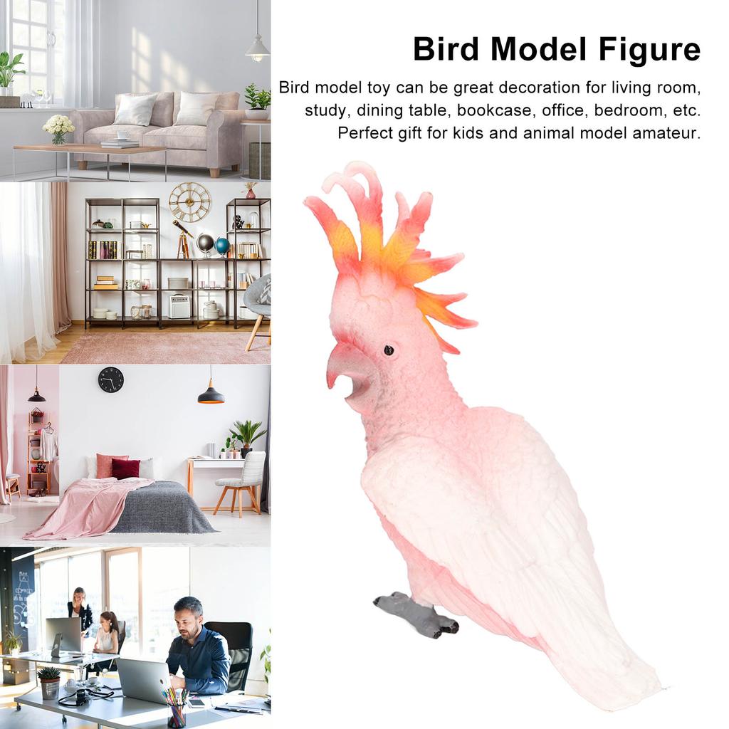 Simulated Bird Model Figure Children Static Bird Figurine Collection Educational Toy Birthday Gift