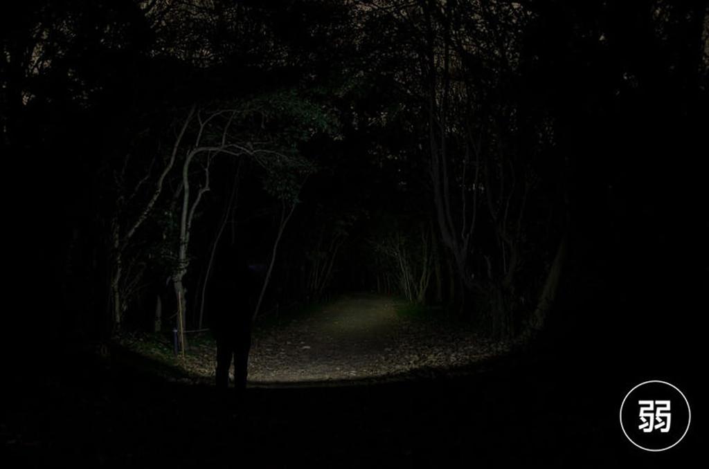 GENTOS G Series LED USB 1250 Run and Waterproof To Uses Dedicated Rechargeable Battery GF-216RG Flashlight, Rechargeable, Lumens, 3-Hour Time,