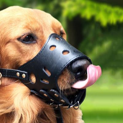 Zachte Leren Muilkorf voor Honden Anti-Bijten Veilig Verstelbaar Ademend Huisdier Kleine Grote Honden Muilkorf Staat Drinken Eten Toe