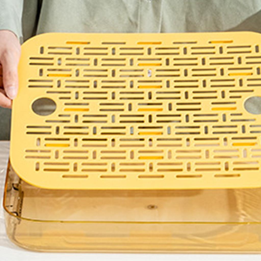 Dish Drain Tray Clear Rectangular Simple Appearance Plastic Double Layer Tea Tray for Kitchen Living Room