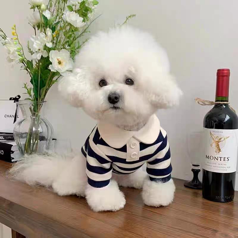 Sommer Polohemd für Hunde Welpenkleidung Bichon Frise Chihuahua Streifen Hunde Sweatshirt Hunde Kühlweste für kleine und mittelgroße Hunde