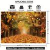 Autumn Tree Lined Path Tapestry Warm Fairy Lights Photography Backdrop