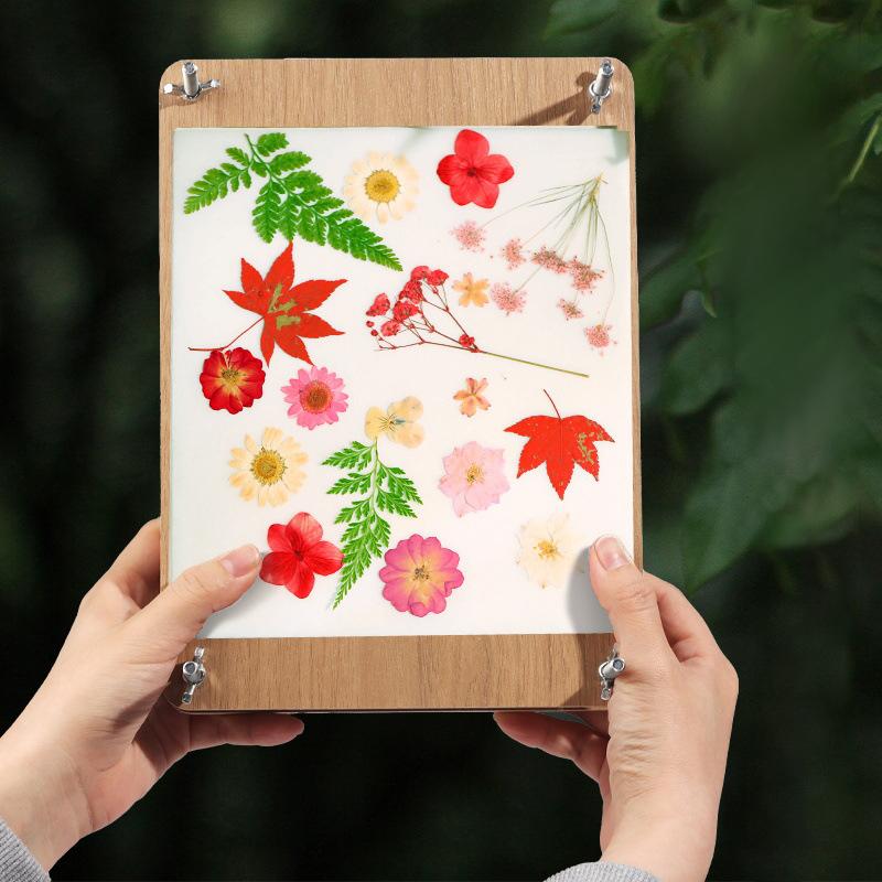 Flower Press Kit 5 Layers Wooden Flower Press Complete Flower Preservation Kit Leaf Pressing For Diy Crafts Making Dried Plants