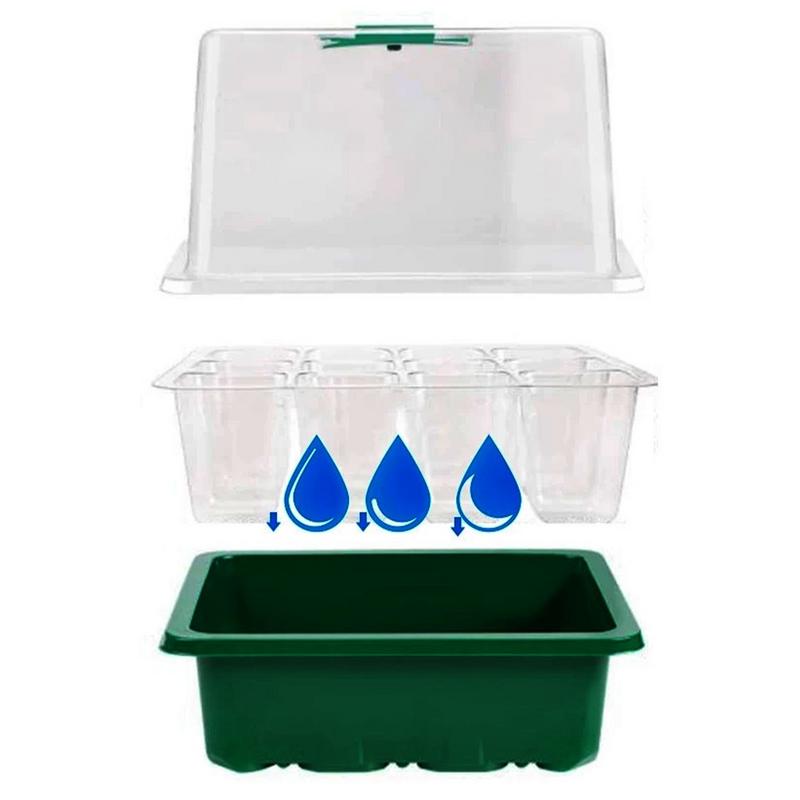 Anzuchtschalen Starter-Set mit Wachstumslampe Indoor-Gartenarbeit Pflanzschalen mit 8 LED-Wachstumslampen Zeitschaltuhr Klon &