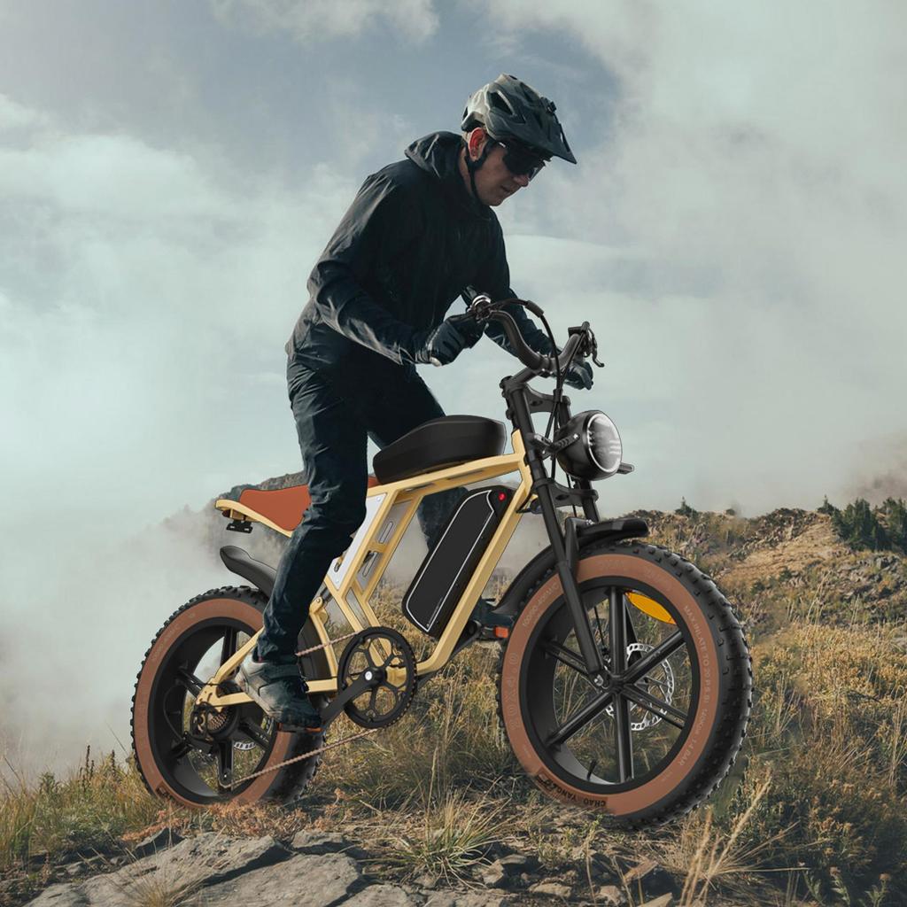 X70G Electric Bicycle - 750W motor, 80km range, maximum load capacity 150kg