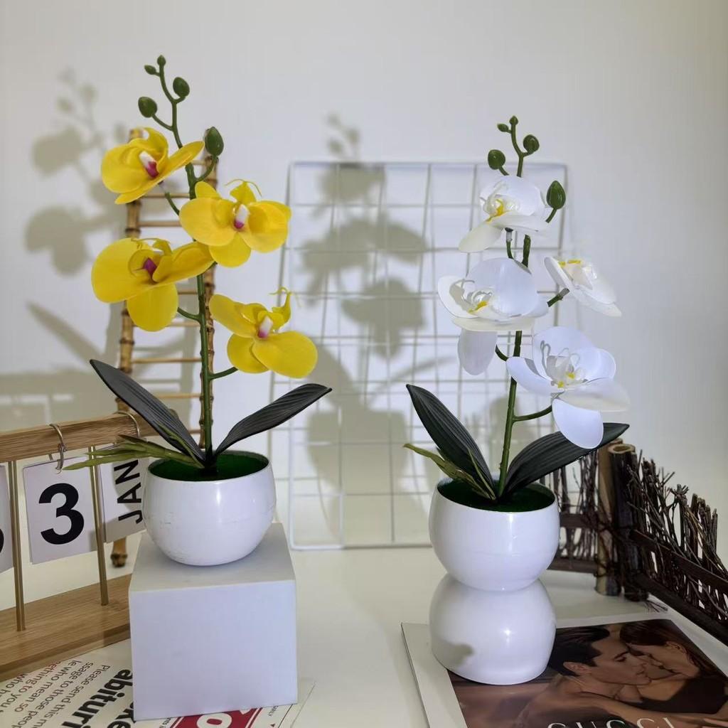 Phalaenopsis Basin Artificial Potted Plant For Home Office Decoration Wedding