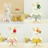 Adorable Warm Sun Fruit Rabbit Plush Toy Soft Stuffed Doll For Kids Bedtime Gift