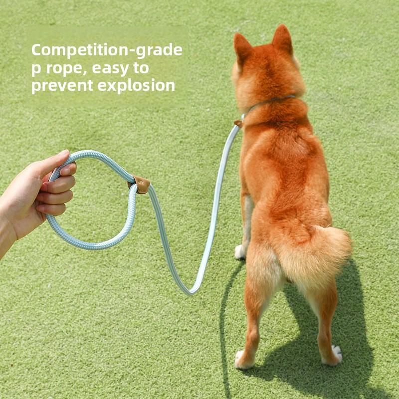 Dog Leash medium and large dog universal safety buckle dog chain collar walking dog P chain pet supplies