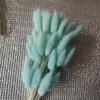 Yunnan Dried Flowers Bouquet - Rabbit Tail Grass
