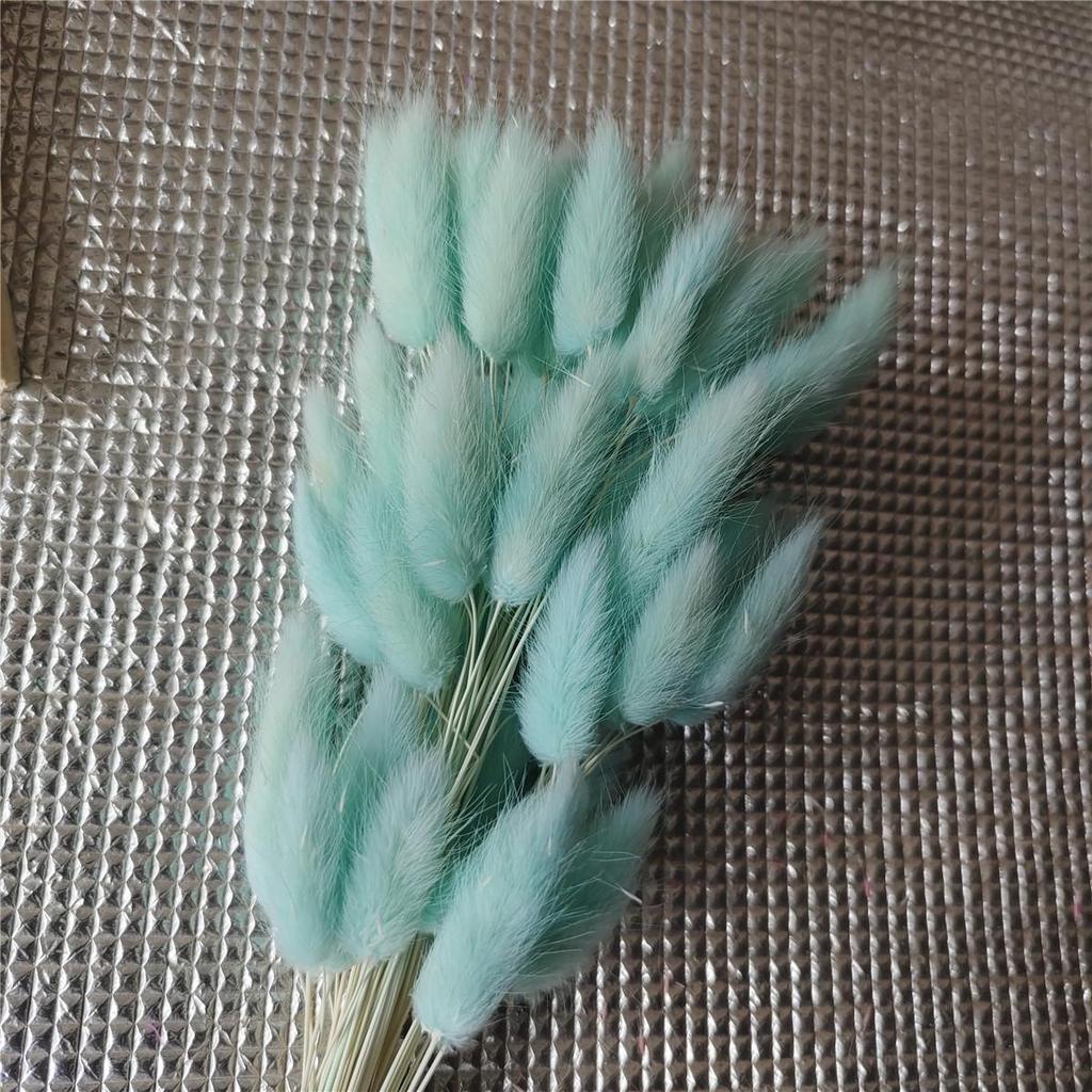 Yunnan Dried Flowers Bouquet - Rabbit Tail Grass