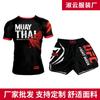 Boxe e artes marciais – Roupa de boxe e artes marciais