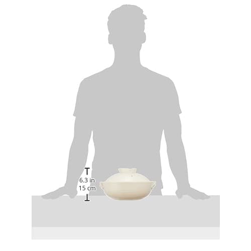 Saji Pottery White 25cm Banko Ware Earthenware Pot No. 8 White Brushed Finish 27-911