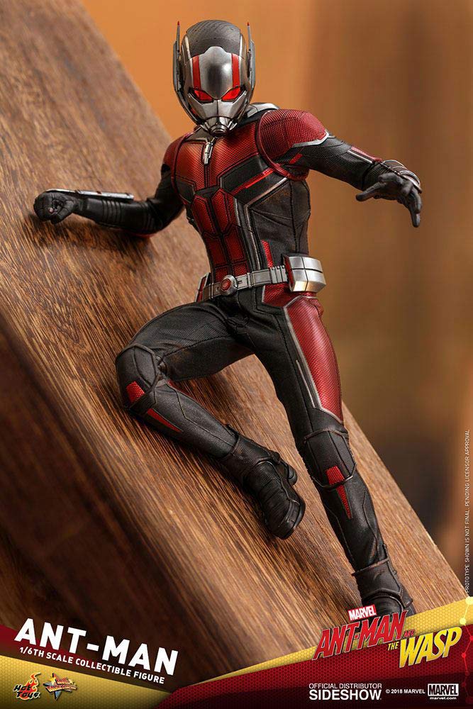 and the Scale Figure [Movie Masterpiece] "Ant-Man Wasp" 1/6 Ant-Man