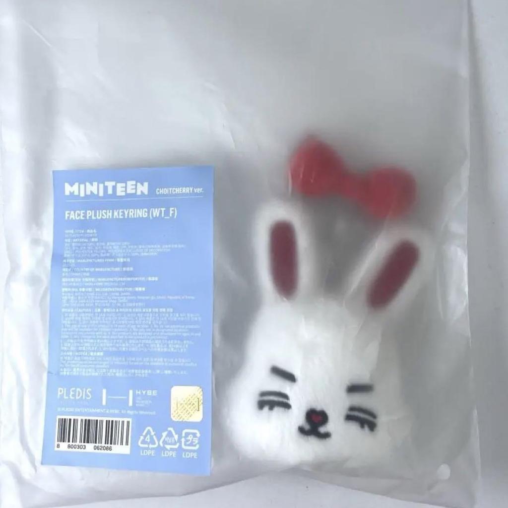 [USED] SEVENTEEN MINITEEN Pop-up Face Keyring S.Coups