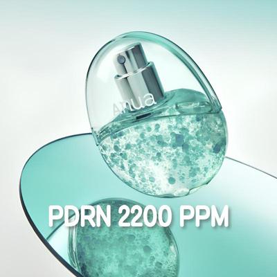 PDRN Hyaluronic Acid Moisture Capsule Mist 30ml / 100ml