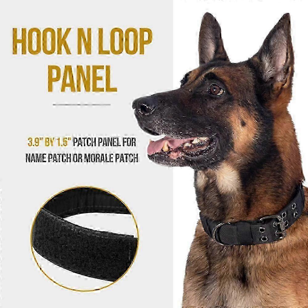 Military Adjustable Dog Collar With Metal D Ring Xl