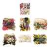 DIY Natural Dried Flower Set Eucalyptus Lavender Wheat Bunny Tails Billy Ball Flower Bouquet with Stems for DIY Crafts Home Wedding Vase Decor