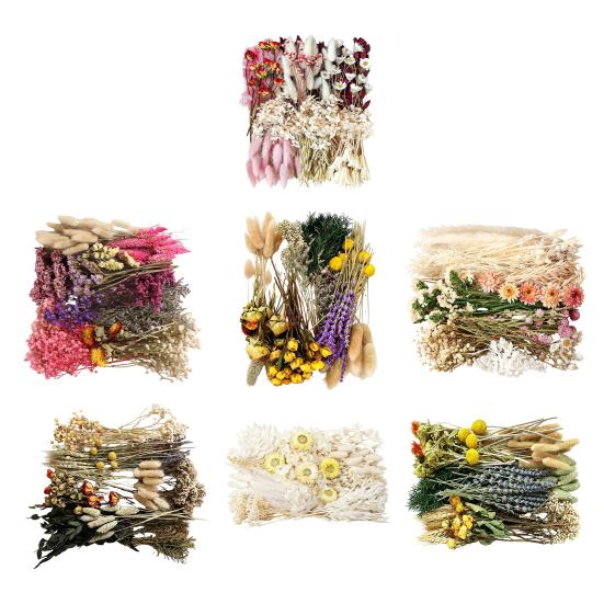 DIY Natural Dried Flower Set Eucalyptus Lavender Wheat Bunny Tails Billy Ball Flower Bouquet with Stems for DIY Crafts Home Wedding Vase Decor