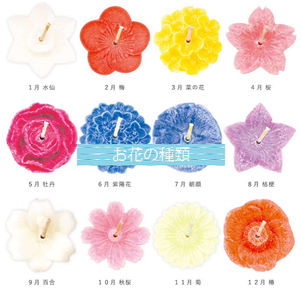 Sakuya Flower Gift Set (Plant-Based) with Offering Noshi (Noshi) and Inner Noshi (Inner Gift Wrapping) - Ready To Send [Includes Offering Noshi]