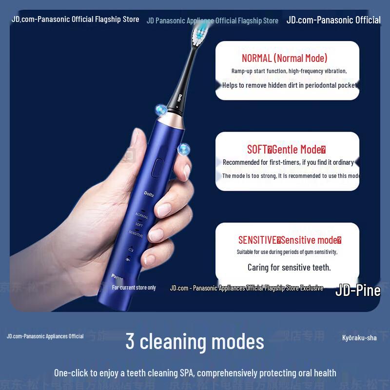 Panasonic Sonic Electric Toothbrush