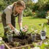 12 Set Dual Layers Self Watering Pots Clear Plastic Seedling Plant Pot  Plant Propagation