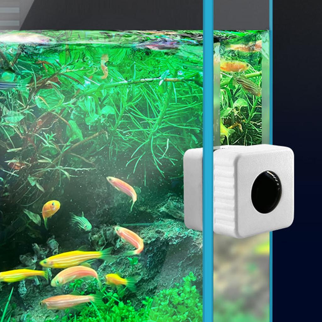 Aquarien Algen Magnet Reinigungsgerät Schaber Schwimmender Reiniger Scheuerschwamm Bürste Algen Schaber Werkzeug Kleine Größe