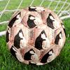 1pc Cats Harmony Theme Soccer Ball Football, Size 5, Lightweight PVC, Durable Outdoor Training Soccer Ball, Gift M61484