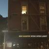 Ben Harper - Wide Open Light [vinyl Lp]