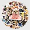 50 Cute Dog Emoji Stickers for Journals, Water Bottles, & Suitcases - Internet-Inspired Graffiti Design
