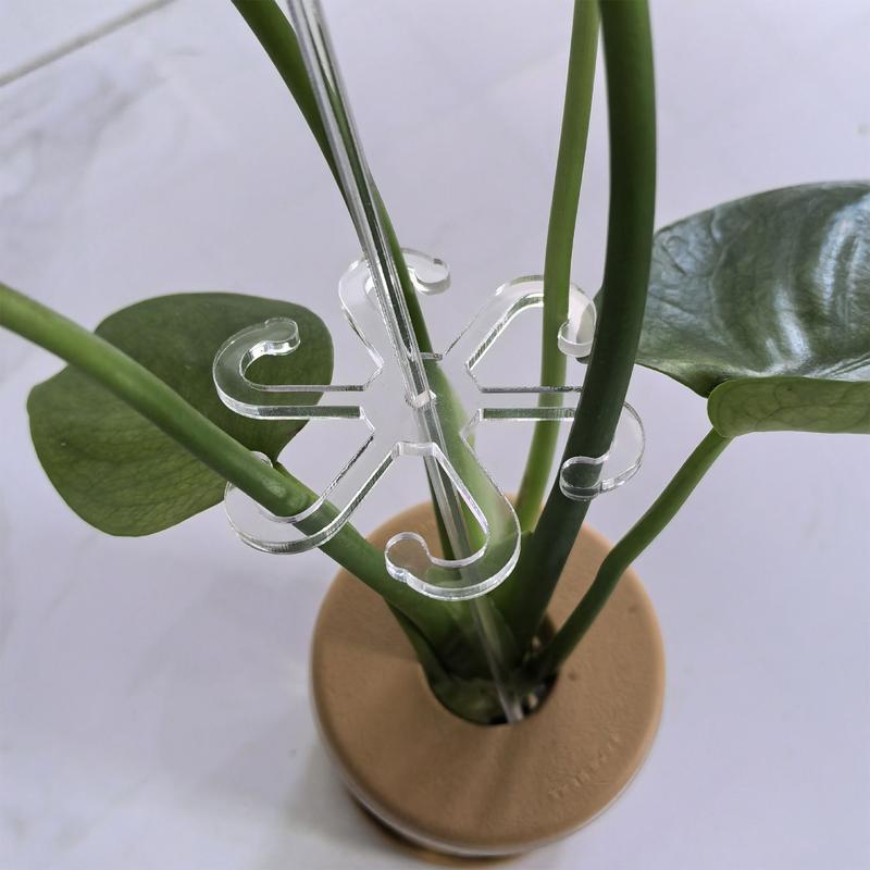 Acrylic Clear Stem Support Plant Climbers 5Pcs Vine Support Clips For Climbing Plants To Grow Upright And Make Healthier