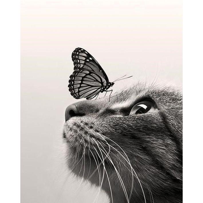 

5D алмазная картина полная круглая дрель вышивка крестом ремесло алмазная вышивка распродажа новое поступление горный хрусталь мозаика домашний декор 15x20CM