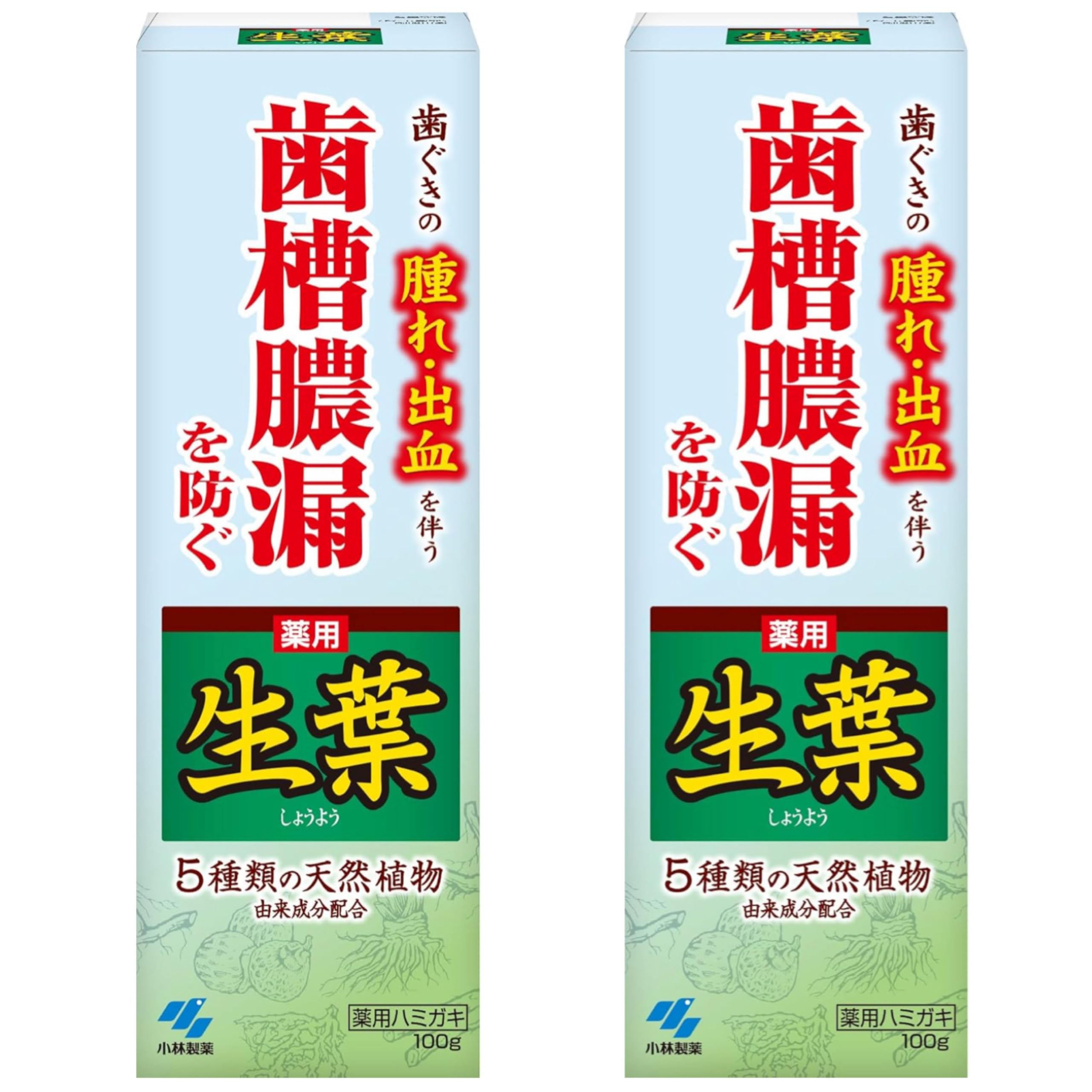 

[2 pieces] Fresh Leaf Medicinal Toothpaste to Prevent Periodontitis, Japanese Herbal Flavor, 100g x 2 pieces