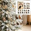 Countdown Calendar for Bird Lovers Birds Prey Advent with 24 2D Acrylic Ornaments, Science Popularization Display Props Box Set, Realistic Figurines,