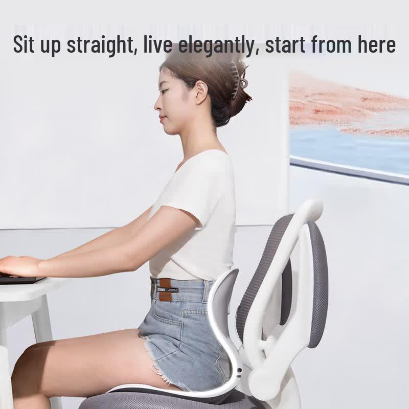 Jiaao Ergonomic Foldable Back Support Cushion