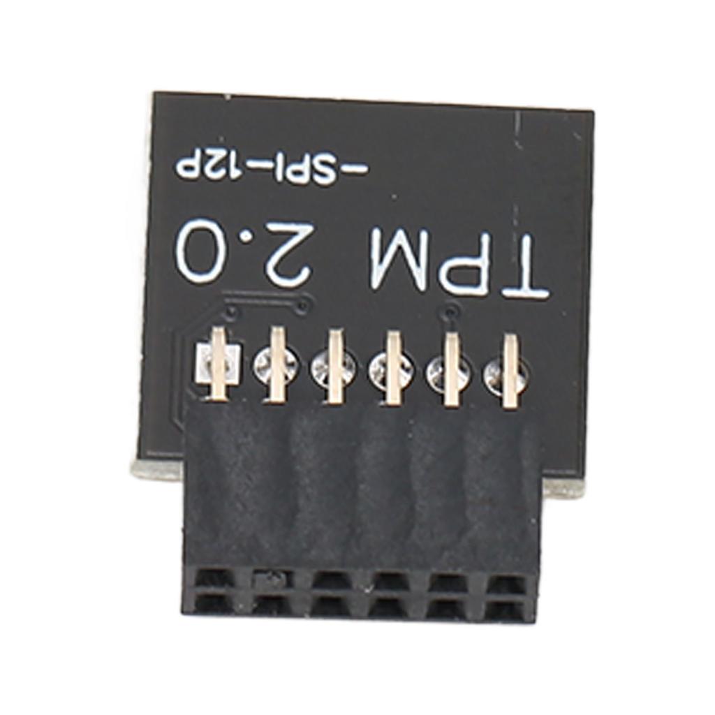 TPM2.0 Encryption Security Module for GIGABYTE Mainboard SPI 12Pin Security Module for WIN 11 2.0