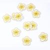 Little Plum Blossom Self-Adhesive Embroidery Patch: Cute Decoration for Clothes, Hats, or Home Textiles