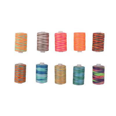 10Pcs Embroidery Machine Thread Durable Wear Resistant Polyester Variegated Diverse Colors