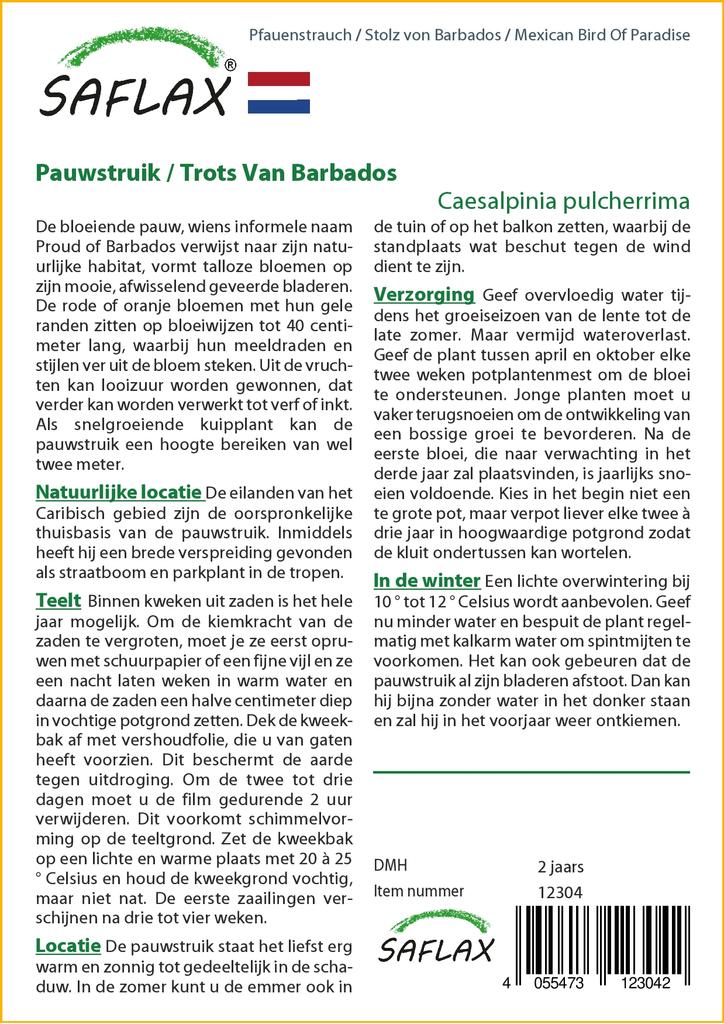 SAFLAX Mexican Bird Of Paradise - 10 Seeds - Caesalpinia Pulcherrima