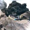 Powerful Wish Natural Stone Power Stone Bracelet with and Selectable Size [Black Priestess' Innocence] Protection, Amulet, Fulfillment, Onyx, Garnet,