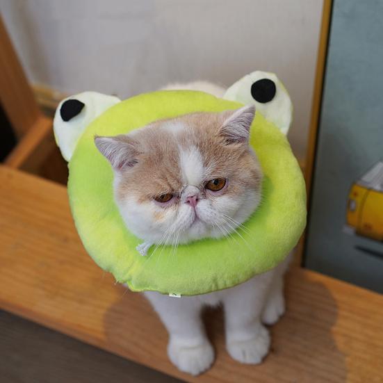 Cat Recovery Collar Super Soft Wear Resistant Nylon Cat Wound Healing Protective