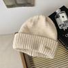Rabbit Premium Hair Knitted Hat For Women Warm Winter Fashionable Beanie