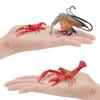Simulation Marine Animal Freshwater Shrimp Model Red Crayfish Crayfish Crystal Shrimp Long Arm Green Shrimp Static Ornament